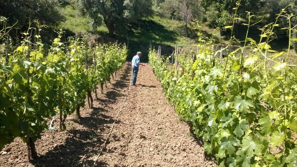 San Giorgio Farm stay *