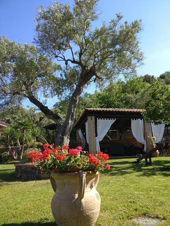 Farm stay San Giorgio Casal Velino